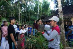 Menanam bambu untuk menjaga mata air