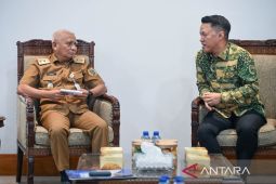 Wagub Sumut dukung pembangunan 217 menara transmisi PLN Langkat-Medan