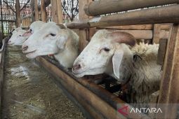 BPS Kota Cirebon sasar pendataan 46 ribu unit usaha dalam Sensus Ekonomi 2026