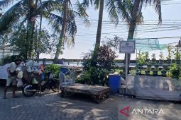 Kampoeng Sepoloh D'Bozem bangun ketahanan pangan lewat urban farming