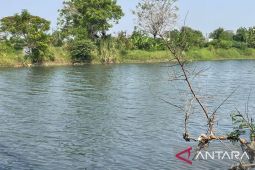 DLHK Provinsi Banten investigasi pencemaran Sungai Ciujung