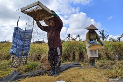 BI Bali: Identifikasi perdagangan-pertanian optimalkan penyerapan kredit