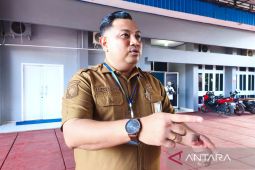 Papua Tengah kaji pembatasan telur lindungi peternak lokal