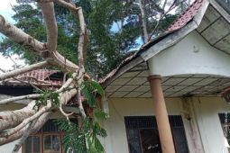 Pusdalops sebut angin kencang rusak satu kantor di Nias Selatan
