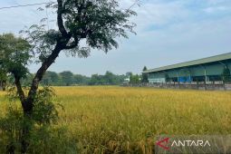 Status siaga kekeringan di Majalengka berlaku hingga Oktober