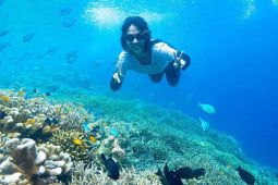 DKP Kaltim genjot potensi ekonomi biru perairan Kepulauan  Derawan