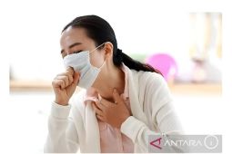 Dinkes Sumsel temukan 523 suspek Flu Singapura