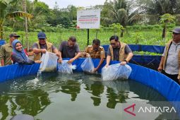 Desa Lopak Alay siap jadi sentra budidaya ikan air tawar di Jambi