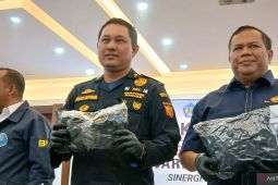 Bea Cukai Bandara Soetta bongkar tiga kasus penyelundupan narkoba