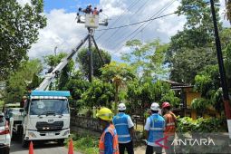 PLN Situbondo antisipasi gangguan jaringan listrik