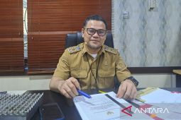 Pemprov Babel susun pergub perizinan tambang timah rakyat