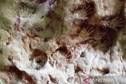 Pemkab Berau-UGM teliti peluang diversifikasi ekonomi di geopark