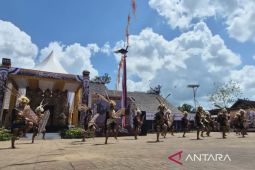 Festival lestarikan Budaya panen leluhur Dayak Kenyah di Kampung Pampang