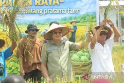 Bupati Bangka Barat sampaikan permasalahan pupuk agar tepat sasaran