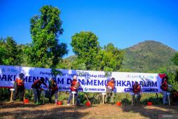 PT POMI gelar aksi penghijauan di Gunung Loros Situbondo