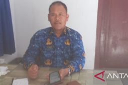 Program optimalisasi lahan sawah di Bangka mampu tingkatkan ketahanan pangan