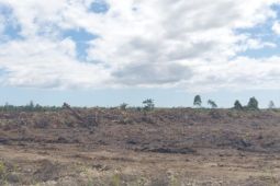 BBRMP Maluku monitoring program cetak sawah rakyat di enam desa