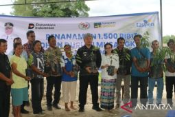 Pemkab Taput - PT Taspen salurkan 1500 bibit durian ke petani Parmonangan