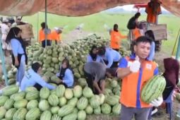 MBG beri dampak positif ke petani buah