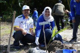 PLN UIW Babel, Pemprov dan Yayasan Ikebana sinergi tanam 4.000 bibit kelapa dan mangrove di Pantai Temberan