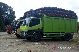 Pemkab  Aceh Barat ingatkan PKS beli TBS petani sesuai harga pemerintah