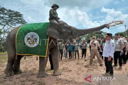 BKSDA dorong tata kelola kolaboratif di Bentang Alam Bukit Tigapuluh