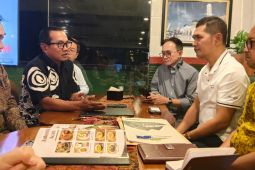 Pemprov buka peluang PLN untuk pengembangan PLTS di Aceh