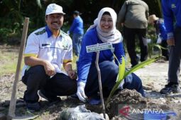 PLN Babel berdayakan komunitas kelola kawasan pesisir kritis