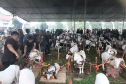 Bupati Tasikmalaya: Pesta Patok tumbuhkan peternakan