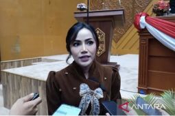 Wakil Ketua DPRD: Samarinda menjadi magnet investasi nasional