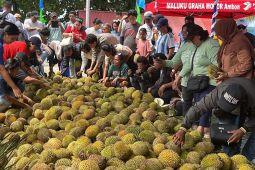 Dispar Maluku dorong Festival Durian Hutumuri Ambon masuk kalender event nasional
