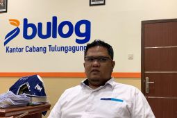 Bulog Tulungagung gelontorkan 300 ton beras SPHP per pekan