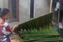 Perajin atap rumbia di Lebak kewalahan layani permintaan