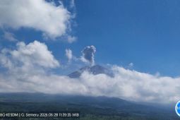 Gunung Semeru erupsi dengan tinggi letusan capai 1.000 meter di atas puncak