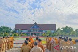 Wabup Bangka Selatan: Peran ayah penting dalam pengasuhan anak