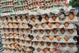 Kabupaten Bandung siapkan produksi telur lewat KDMP untuk atasi kelangkaan