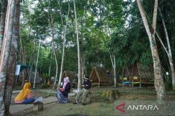 Masyarakat sekitar hutan Kaltim raup Rp8,1 miliar dari keberlanjutan alam