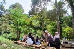 Warga Aceh Besar jadikan kebun durian sebagai agrowisata musiman