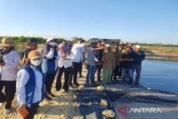 Indonesia builds Pamekasan salt center to curb imports by 2027