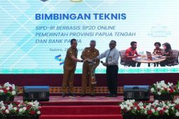 Papua Tengah terapkan SP2D daring untuk digitalisasi keuangan