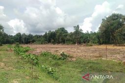 Pemkab Simeulue cetak sawah baru seluar 1.050 hektare