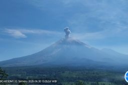 Semeru erupsi dengan letusan setinggi 900 meter