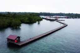 Kutim kembangkan wisata Pulau Miang dan pertahankan ekosistem laut