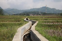 Menteri PU sebut Inpres Irigasi jamin pasokan air untuk lahan pertanian merata