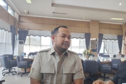 PLN Kalselteng diminta lebih profesional