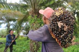Penambahan investasi Rp16 triliun Kaltim  serap 22.873 pekerja baru