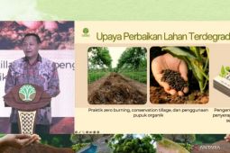 Kemenhut: 12,3 juta hektare lahan kritis Indonesia perlu rehabilitasi