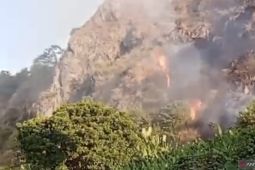 Bandung Barat catat tiga kejadian kebakaran hutan dalam sepekan
