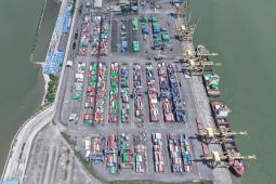 BNCT: Arus peti kemas di Pelabuhan Belawan capai 59.918 TEUs pada Mei