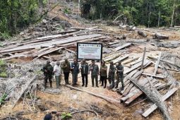 Kemenhut kawal pelaksanaan ganti rugi ekologi Rp78,1 miliar oleh PT BRN